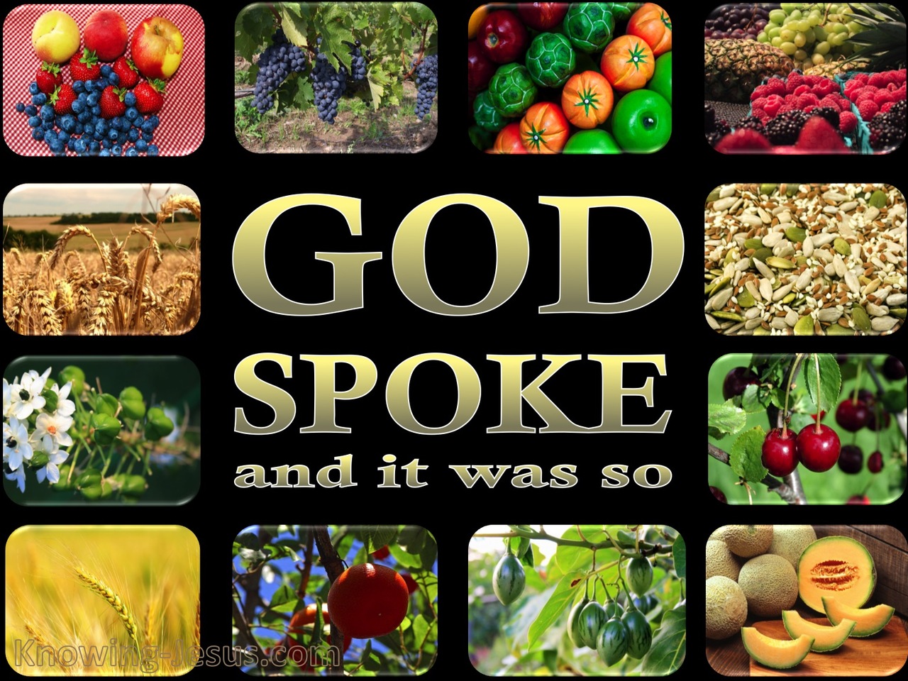 Genesis 1:11 Let The Earth Sprout Vegetation (black)